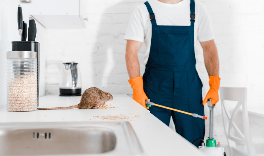 Rodent Control
